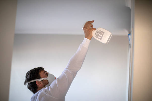 Best Residential Mold Removal  in Taylor Lake Village, TX