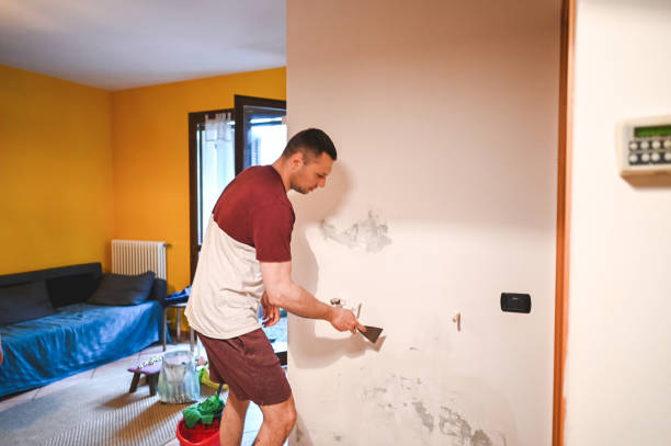 Best Same-Day Mold Removal  in Taylor Lake Village, TX